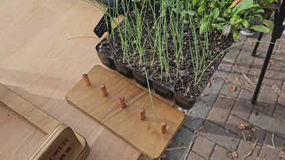 Seed Popper (Kit)